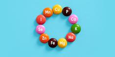 Orffa Mineral Nutrition