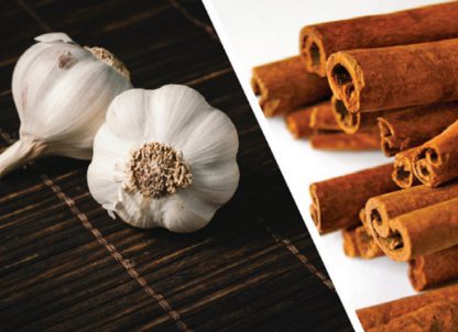 Garlic and cinnamon: a natural solution to reduce the use ofโฆ | Orffa